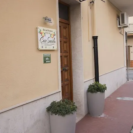 Saniela 테라시니